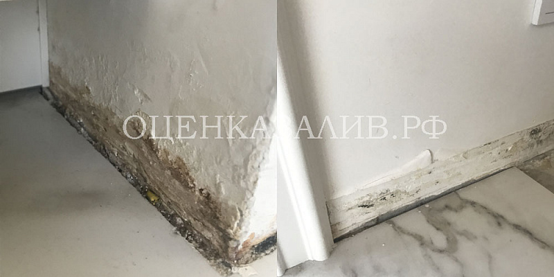 Оценка ущерба после залива Коммунарка ул Александры Монаховой 260 752 рублей